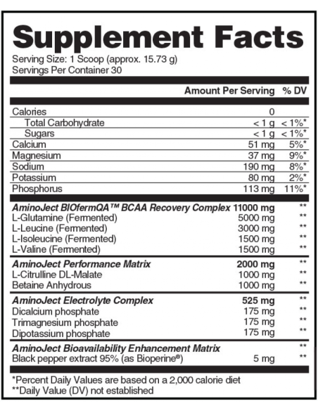 Aminoject 472 gr