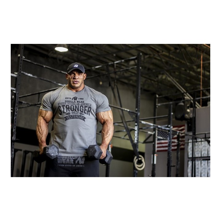 Hobbs T-shirt