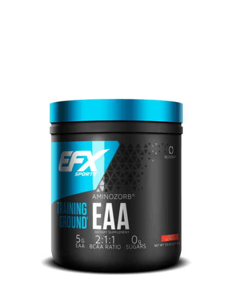 Training Ground EAA 213 gr