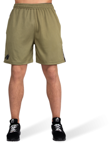 Reydon Mesh Shorts