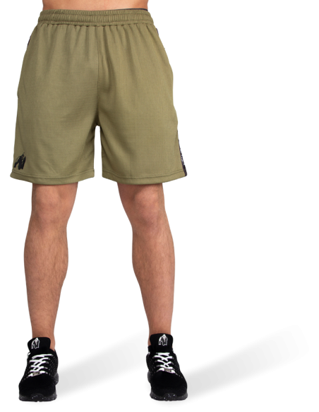 Reydon Mesh Shorts
