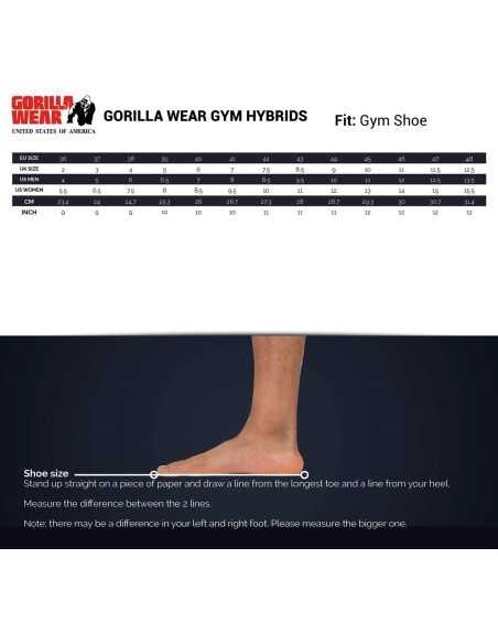 Gym Hybrids
