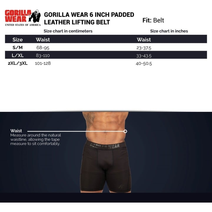 Gorilla Wear 6 Inch Padded Leather Lifting Belt