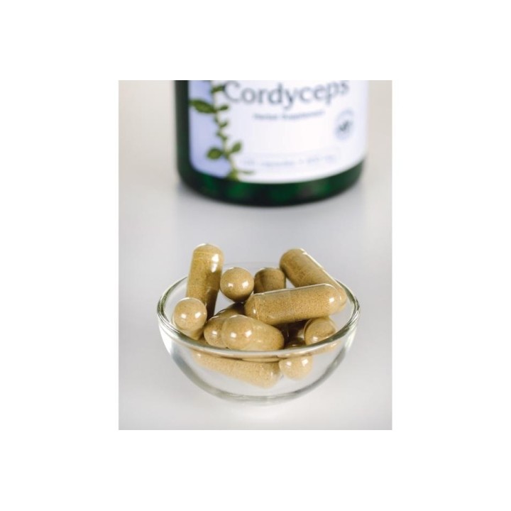 Cordyceps 600 mg 120 Caps Swanson Mushroom Extract