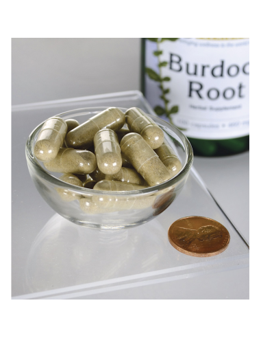 Burdock Root 460 Mg 100 Caps