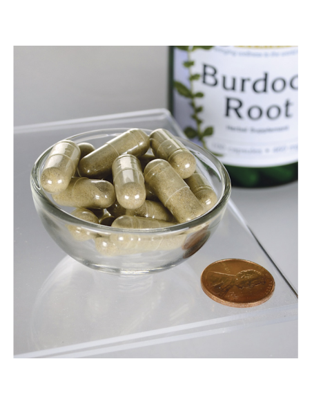Burdock Root 460 Mg 100 Caps