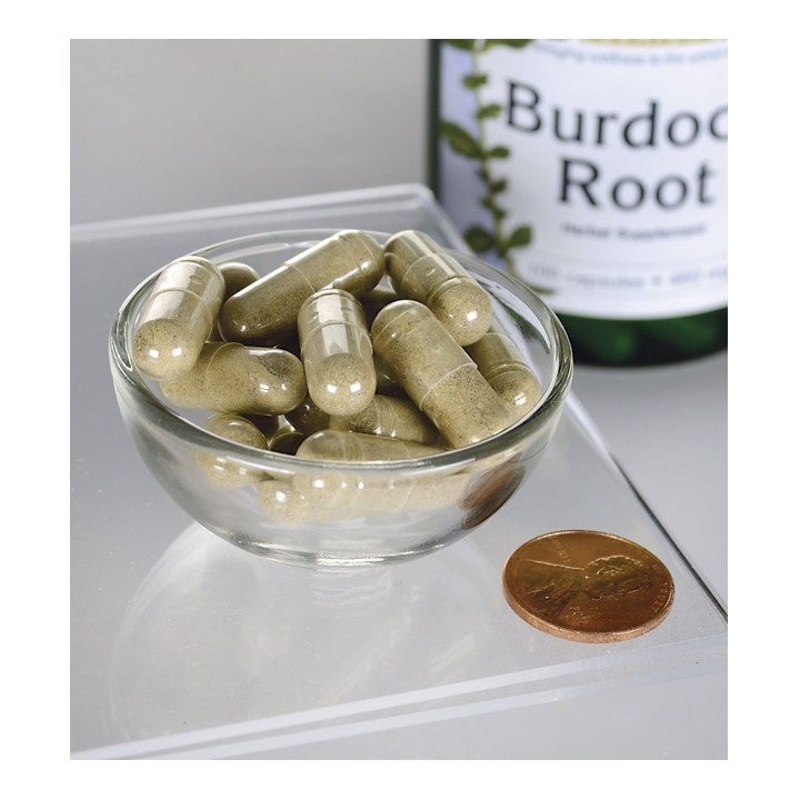 Swanson Burdock Root 460 mg 100 Caps