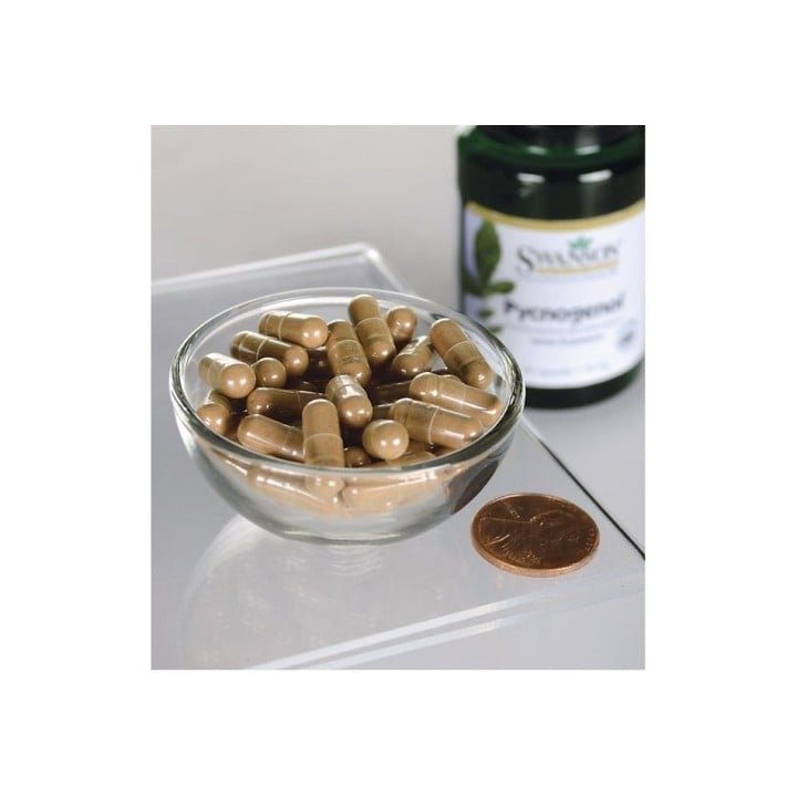 Swanson Pycnogenol Premium 50 mg 50 caps