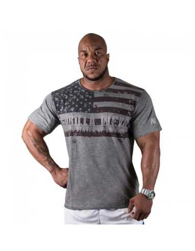 USA FLAG T-SHIRT Grey
