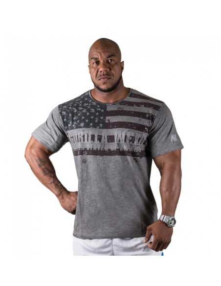 USA FLAG T-SHIRT Grey