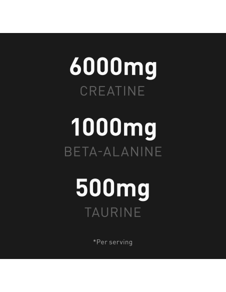 The Creatine 400 gr