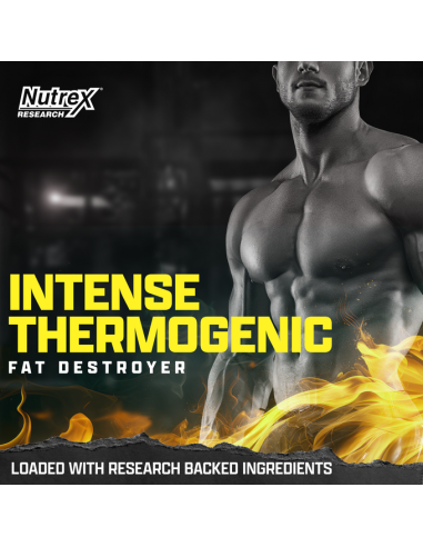 Lipo 6 Black Intense Ultra Concentrate USA 60 Caps