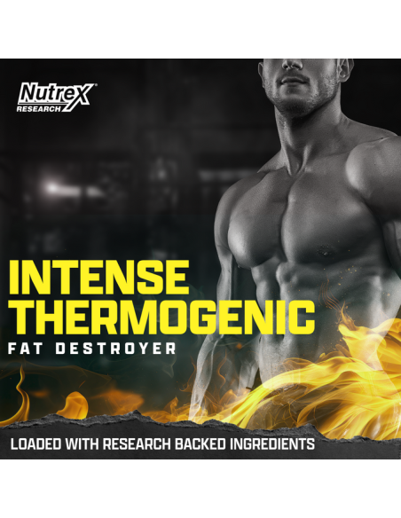 Lipo 6 Black Intense Ultra Concentrate USA 60 Caps