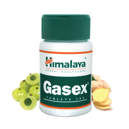 Himalaya Gasex 100 tablets