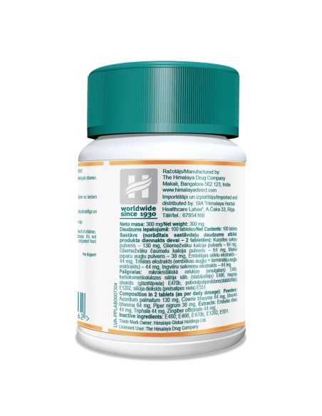 Gasex 100 tablets