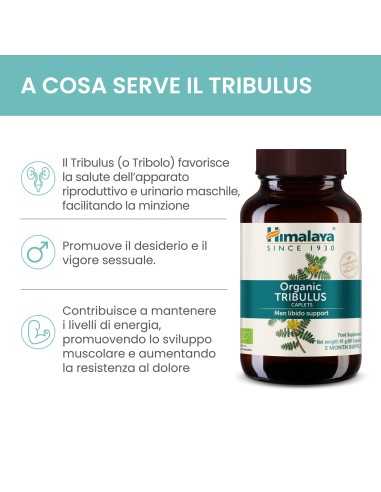Tribulus 60 caps