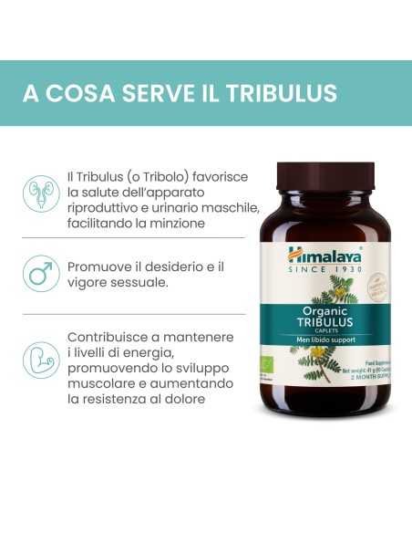Tribulus 60 caps