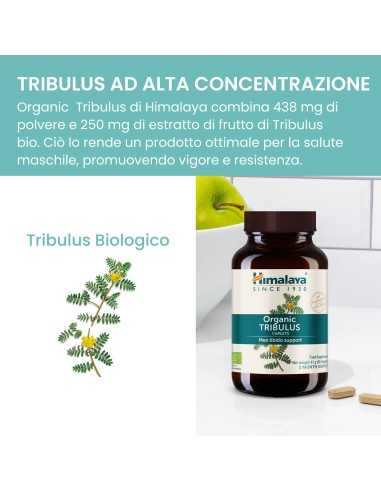 Tribulus 60 caps