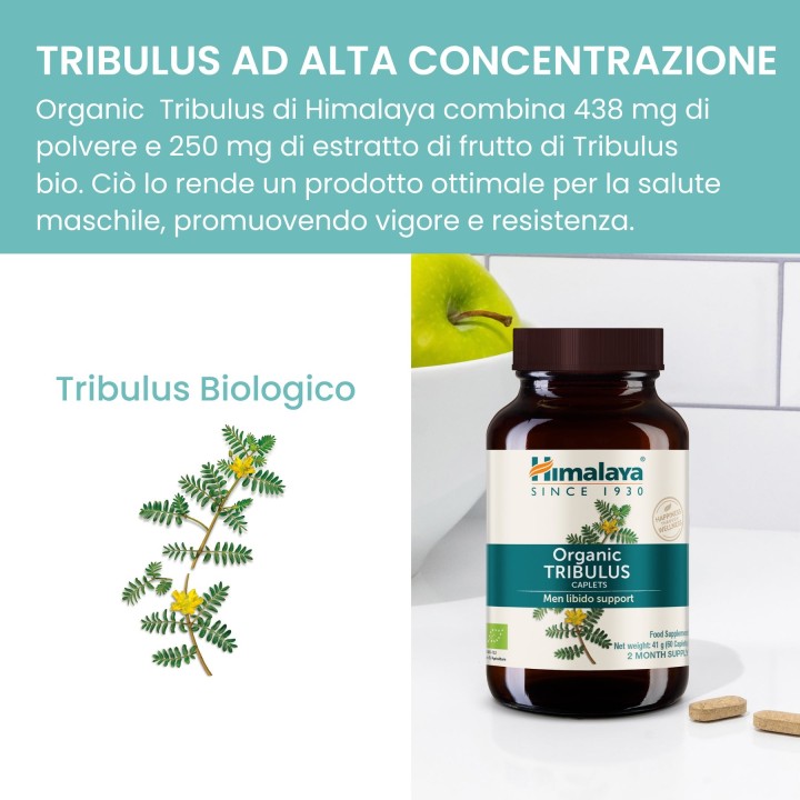 Himalaya Tribulus 60 caps