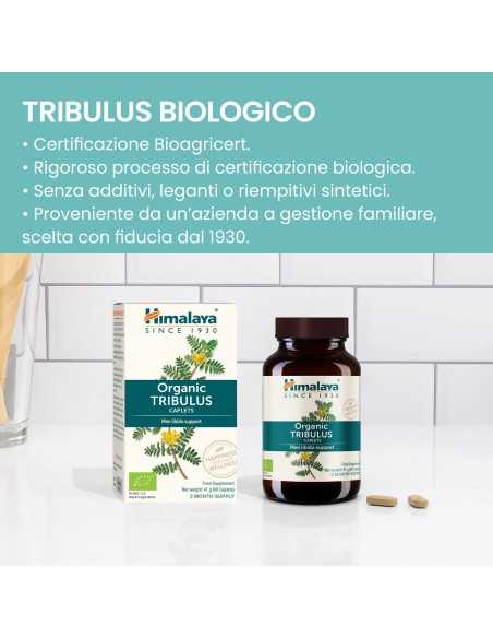 Tribulus 60 caps