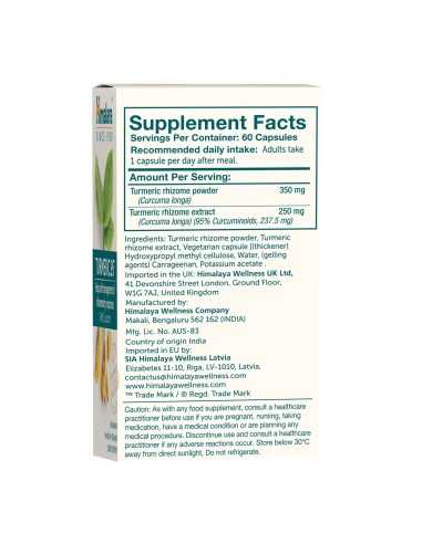 Turmeric 95 with Curcumin 60 caps
