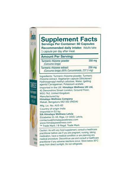 Turmeric 95 with Curcumin 60 caps