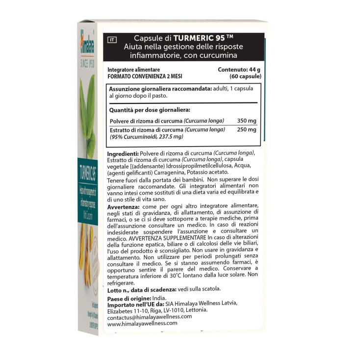 Himalaya Turmeric 95 with Curcumin 60 caps