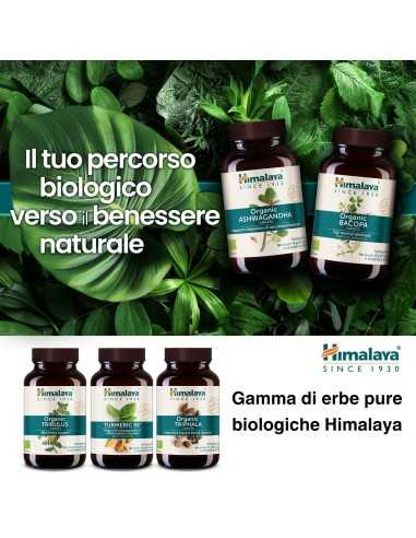 Bacopa 60 caps