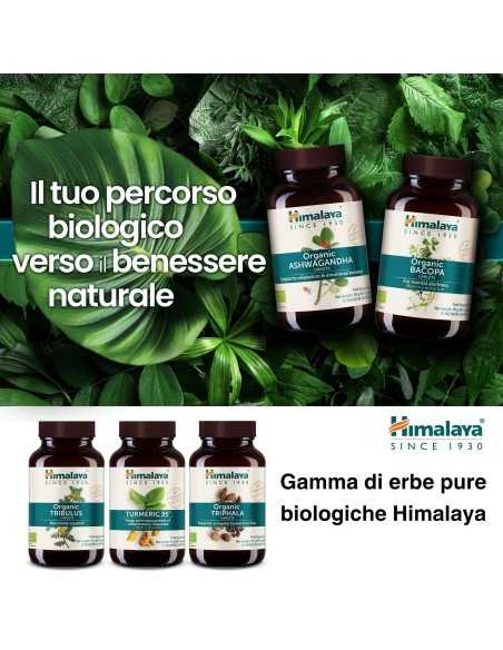 Bacopa 60 caps