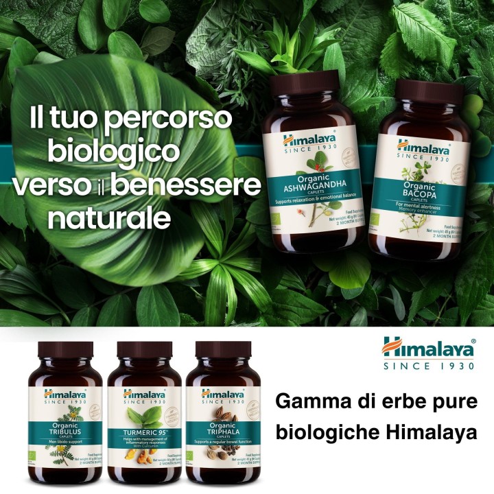 Himalaya Bacopa 60 caps