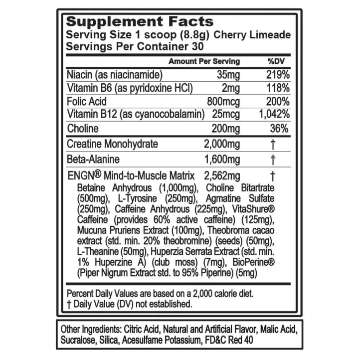 EVLution Nutrition ENGN 312 gr