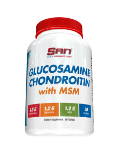 Glucosamine Chondroitin with MSM 90 tablets