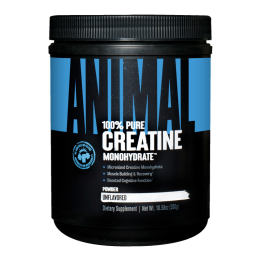 Animal Creatine Powder 500 g Universal Nutrition
