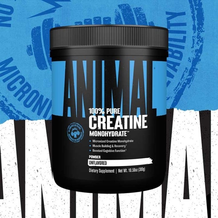 Universal Nutrition Animal Creatine Powder 500 gr