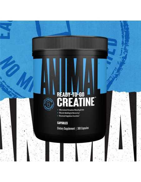 Micronized Creatine Monohydrate Capsules 200 caps