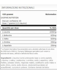 Aminolast 420 gr 2