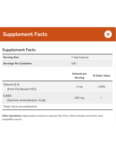 GABA with Vitamin B6 500mg 100 vcaps