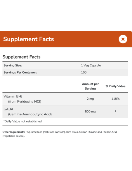 GABA with Vitamin B6 500mg 100 vcaps