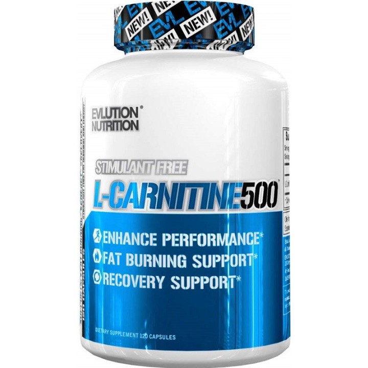 L-Carnitine 500 120 caps