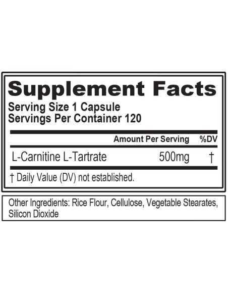 L-Carnitine 500 120 caps