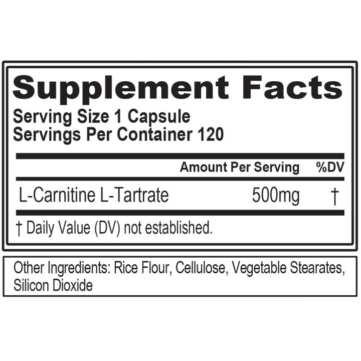 EVLution L-Carnitine500 Capsules EVLution Nutrition | Energy & Fat Metabolism