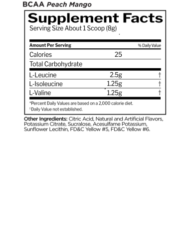 BCAA 480 gr