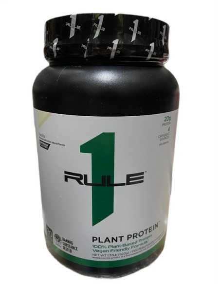 Plant Protein 620 grams