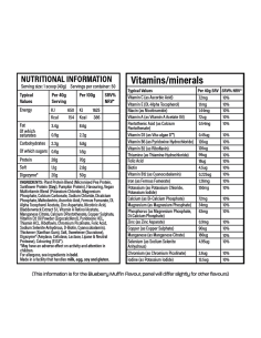 Vegan Protein 2000 grams 2
