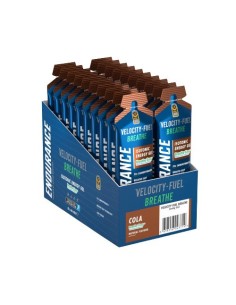 Endurance Breathe Isotonic Energy Gel 20 x 60g