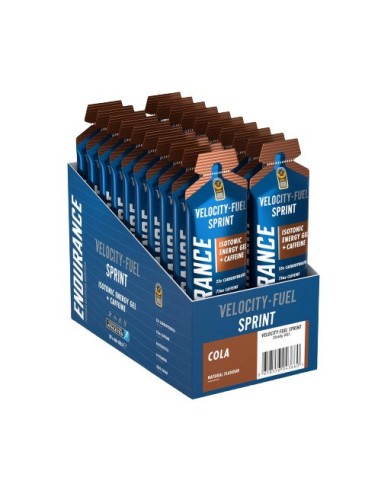 Endurance Sprint Isotonic Energy Gel + Caffeine...