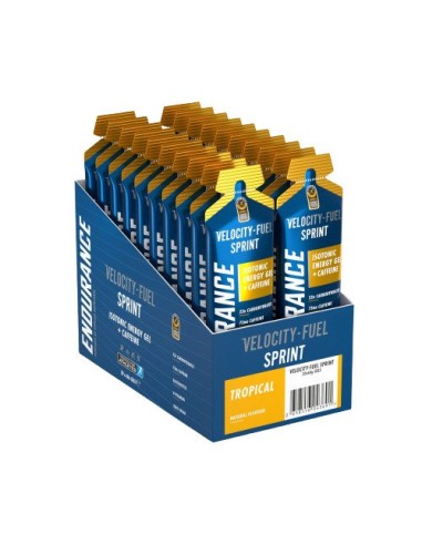 Endurance Sprint Isotonic Energy Gel + Caffeine...