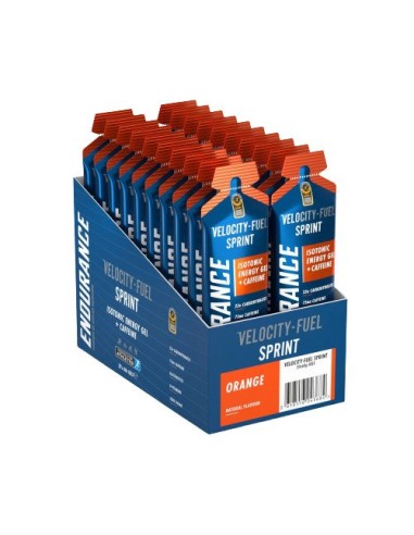 Endurance Sprint Isotonic Energy Gel + Caffeine...