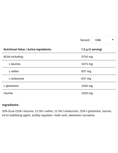 BCAA Max Support 500 grams