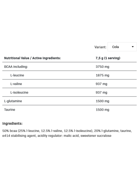 BCAA Max Support 500 grams